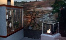 04-Diorama