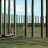 Woodhenge-stubbs