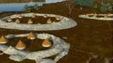 Sapelo Shell Ring Complex