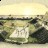 Florida Calusa NativeAmerican Shell Mound Village
