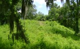 Great Temple Mound at Lake Jackson Mounds Great Temple Mound at Lake Jackson Mounds