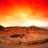 Caral in Peru