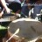 AIA-drumming