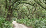 CUIS_Mainroad - HeaderMain CUIS_Mainroad - HeaderMain