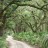 CUIS_Mainroad - HeaderMain