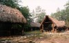 A Seminole Indian camp with a sleep chickee, cooking chickee, and eating chickee. (Courtesy Wikipedia)