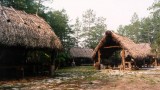 A Seminole Indian camp with a sleep chickee, cooking chickee, and eating chickee. (Courtesy Wikipedia)