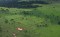 amazon-geoglyphs-brazil