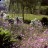 ga_botanical_garden