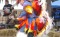 mystic-eagle-powwow