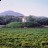 The Nacoochee Mound (Courtesy Wikipedia)