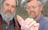 solutrean-stanford-bradley-white-news-altermedia