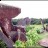 stonehenge-brazil