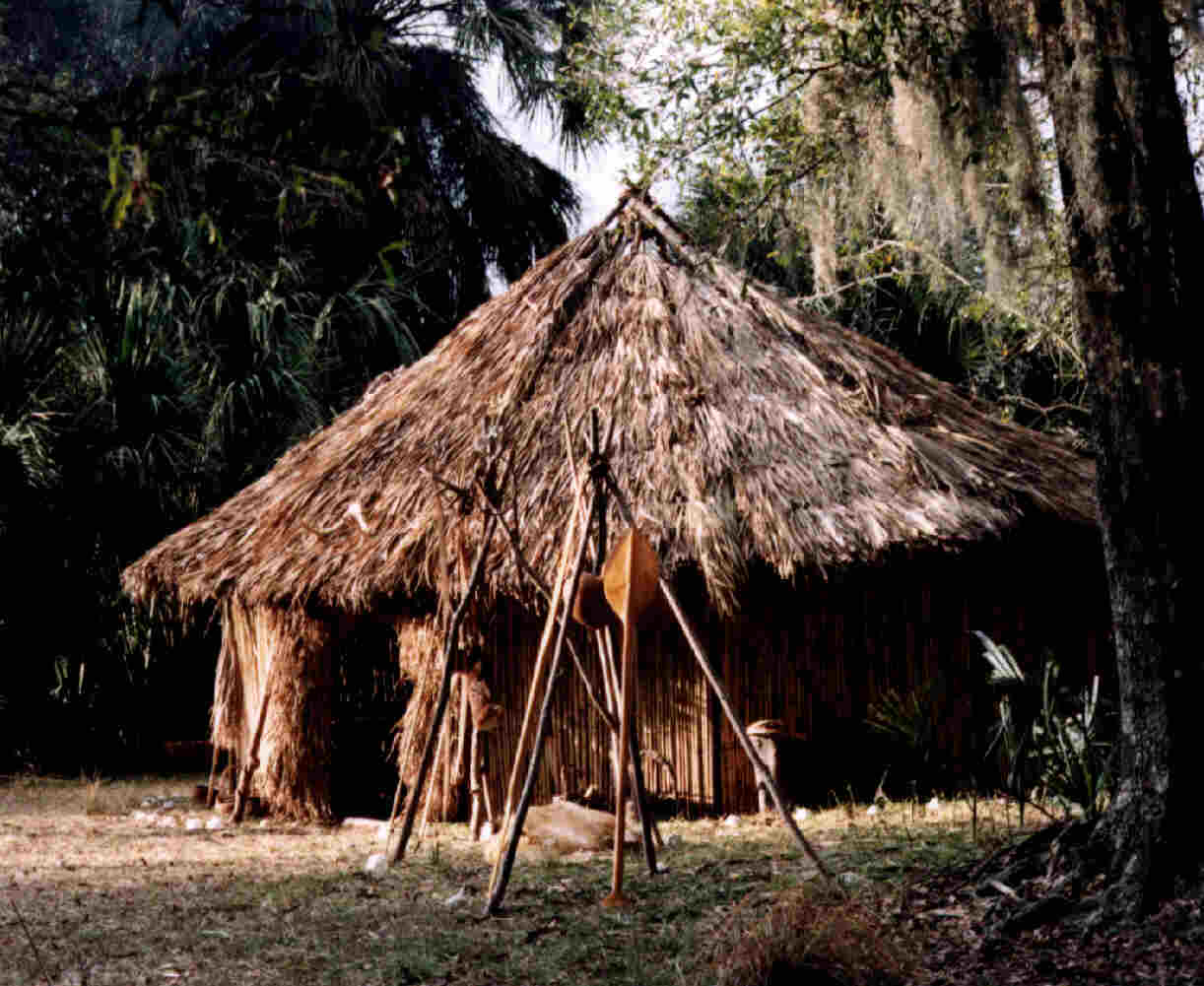Хижины индейцев Южная Америка